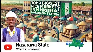 Top 3 Biggest Rice Markets in Nasarawa | Cheap & Wholesale Rice in Nigeria