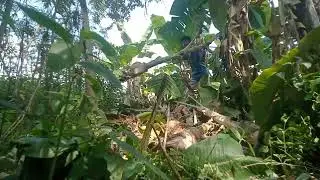  @IndianFarmer @TNFarmers @jawan @WildBrainCircus @Farmer_Ai1 @Village_gear 