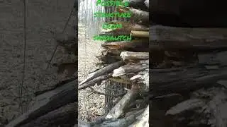 #Bigfoot structure