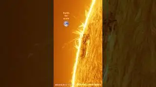 Extreme Zoom of the SUN! Captured Through My Telescope #astronomy #space #solarsystem