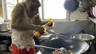 Monkey Chef Cooking Street Food Like a Pro | Funny Animal Cooking Show #MonkeyChef #FunnyAnimals