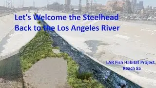 Let's welcome Steelhead back to the Los Angeles River and the Arroyo Seco
