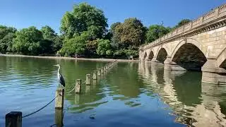 Serpentine Bridge of Hyde Park in London