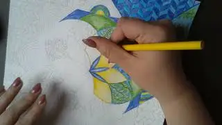 Islamic Rosette Coloring Demo