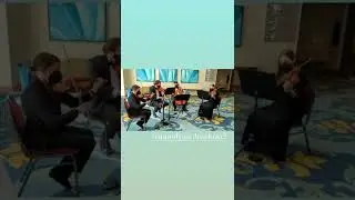 In My Life | The Beatles (Ampd String Quartet Cover)