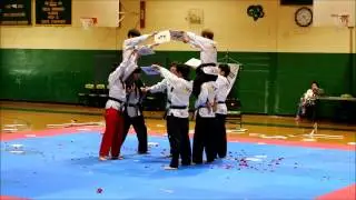 World Taekwondo Federation Demo Team NJ