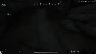 Playing Hunt Showdown