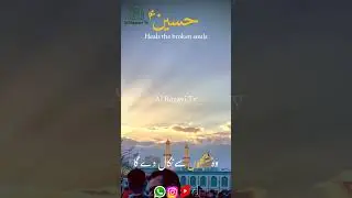Hussain (A.S) Hai Na | Mir Hasan Mir | Al Razavi Tv #shorts #youtubeshorts