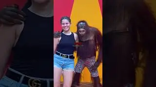 🧠Joe Rogan Exposes Genius Monkeys🐵