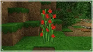 SpeedTexture - Rose