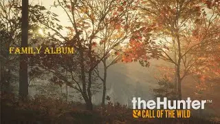 Way of the hunter kept crashing so Call of the wild it is