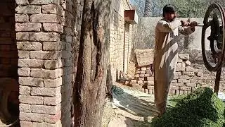 Toka Machine Cutting Sound😍😍😍