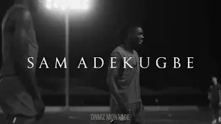 Sam Adekugbe | &Ccedil;ingenem