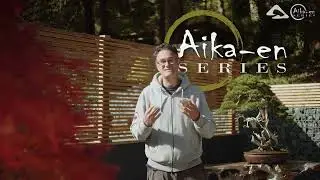 D&Eacute;COUVREZ L'ABONNEMENT AIKA-EN SERIES : Apprenez le bonsa&iuml; avec Alexandre ESCUDERO