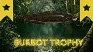 Akhtuba River Burbot Trophy
