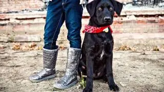 Pets Make a Difference PSA