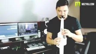 Roland AE-10 Song SAX