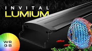 INVITAL Lumium - WRGB Aquarienbeleuchtung f&uuml;r Pflanzen und Fische | INVITAL