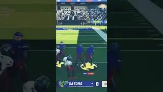 I recreated the Florida Gators in maximum football