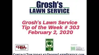 Grosh's Lawn Service Tip of the Week # 303 February 2, 2020 Video Shrub Trimming Hagerstown MD