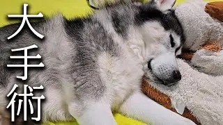 今まで応援してくださった皆様へありがとうございました...