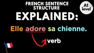 French Sentence Structure Explained for Beginners!