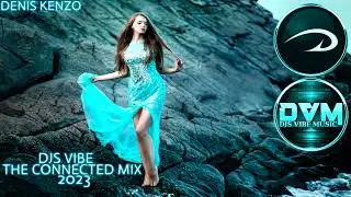 Djs Vibe - The Connected Mix 2023 (Denis Kenzo)