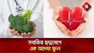 প্লেটে রাখা ব্রকলি আসলে কী? | Broccoli Benefits | BD Health Tips | Rupali Bangladesh
