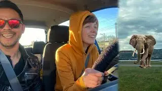 Op olifantenjacht - Kei tof #142