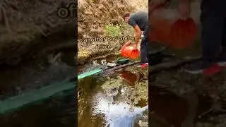Insanely RARE Volcanic GOLD NUGGET Unearthed Under an Active Volcano Ep 15 #shorts