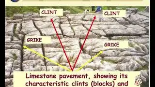 𝑸&𝑨: How do clints and grikes form in limestone pavements?