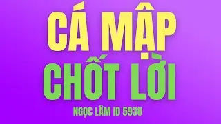 Nhận định thị trường chứng khoán hàng ngày | Phân tích vnindex, cổ phiếu tiềm năng hôm nay- NGỌC LÂM