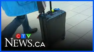 Canadian travel to US drops hurting border businesses