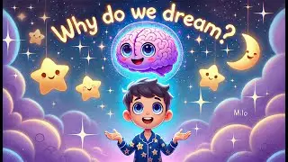 Why Do We Dream? | Bedtime Story | Story Tailor