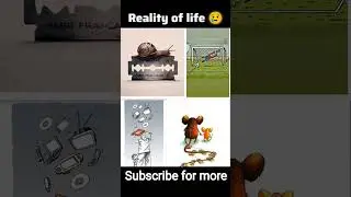 99% People Missed The Real Meaning&hellip; Did You Understand? 🤯 #Reality#truthofsociety #quotes#motivation