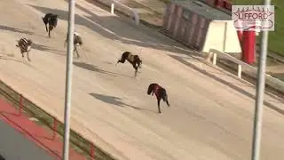 Sunday 26th March 2023 | Race 1 | Lifford Stadium