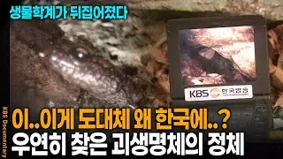 '생물학계가 발칵 뒤집혔다..' 아시아에서 단 한번도 발견된 적 없던 생명체의 놀라운 정체 | KBS 환경스페셜 20080924 방송