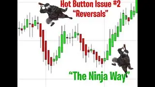 Hot Button Issue #2 