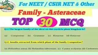 Multiple Choice Questions Based on the Asteraceae/Daisy Family/Compositae.