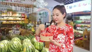 Hi Dongfang -  tropical island travelling vlog in China - Dongfang introduction