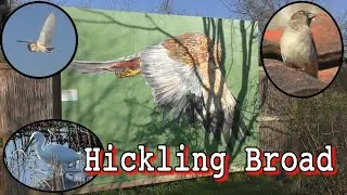 NWT Hickling Broad, February 2020