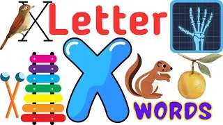 Words That Start With X - Letter X Words For Kids
