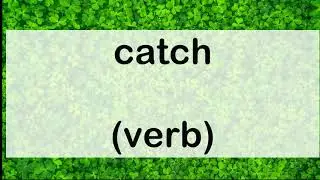 683 catch verb