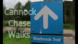 Cannock Chase: Sherbrook Trail