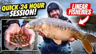 Linear Fisheries Hardwick & Smiths | 24-часовая зимняя рыбалка на карпа. Видеоблог | Бен Паркер