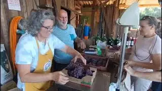 Empreendimento aposta no turismo rural em Teut&ocirc;nia