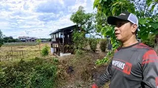 BALIK NA SA FARM 1