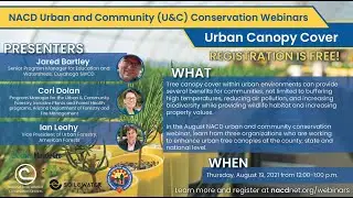 Urban Canopy Cover - August 2021