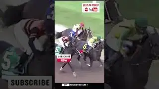 Скачки Remington Park Springboard Mile: выгодные ставки и стратегия &laquo;трифекты&raquo;