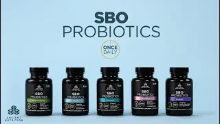 SBO Probiotics Once Dailies | Ancient Nutrition